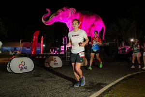 BIB: 
                            <button type="button" onclick="openModal(26534727)" class="btn btn-primary btn-sm float-right btn-popup" data-toggle="modal" data-target=".modal-high-quality">
                        <i class="fas fa-shopping-cart"></i> Add to Cart
                    </button>
                                            <button type="button" onclick="isThisMe(26534727, true)" class="btn btn-success btn-sm float-right btn-popup btn-isme hidden" data-toggle="tooltip" data-placement="bottom" title="นี่คือรูปของคุณใช่ไหม คลิกที่นี่เพื่อเอาเข้าอัลบั้ม">
                        <i class="fas fa-plus"></i> Add to album
                    </button>
                    <button type="button" onclick="isThisMe(26534727, false)" class="btn btn-warning btn-sm float-right btn-popup btn-isnotme hidden">
                        <i class="fas fa-ban"></i> Remove from album
                    </button>